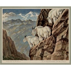 Mountain Goat - Seagram Whiskey Calendar