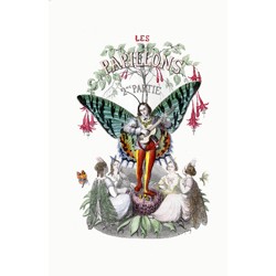 Les Papillons - Plate 2nd Partie