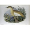 John J Gould (1804-1881)