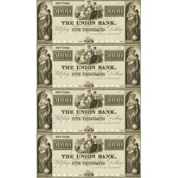 New York NY - Union Bank $5000 Sheet Obsolete Currency Note Full Sheet Nude Vignette