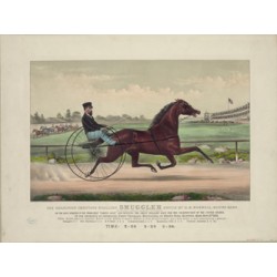 1874 Champion trotting stallion Smuggler owned by H S Russell - Currier Ives