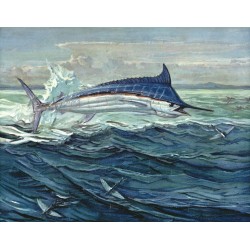 1962 Striped Marlin