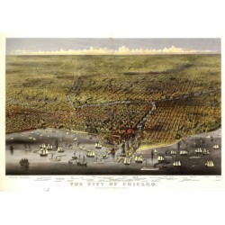 Illinois Chicago 1874